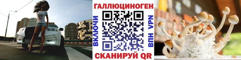 kraken ONION  Салаир  Псилоцибиновые грибы GOLDEN TEACHER 